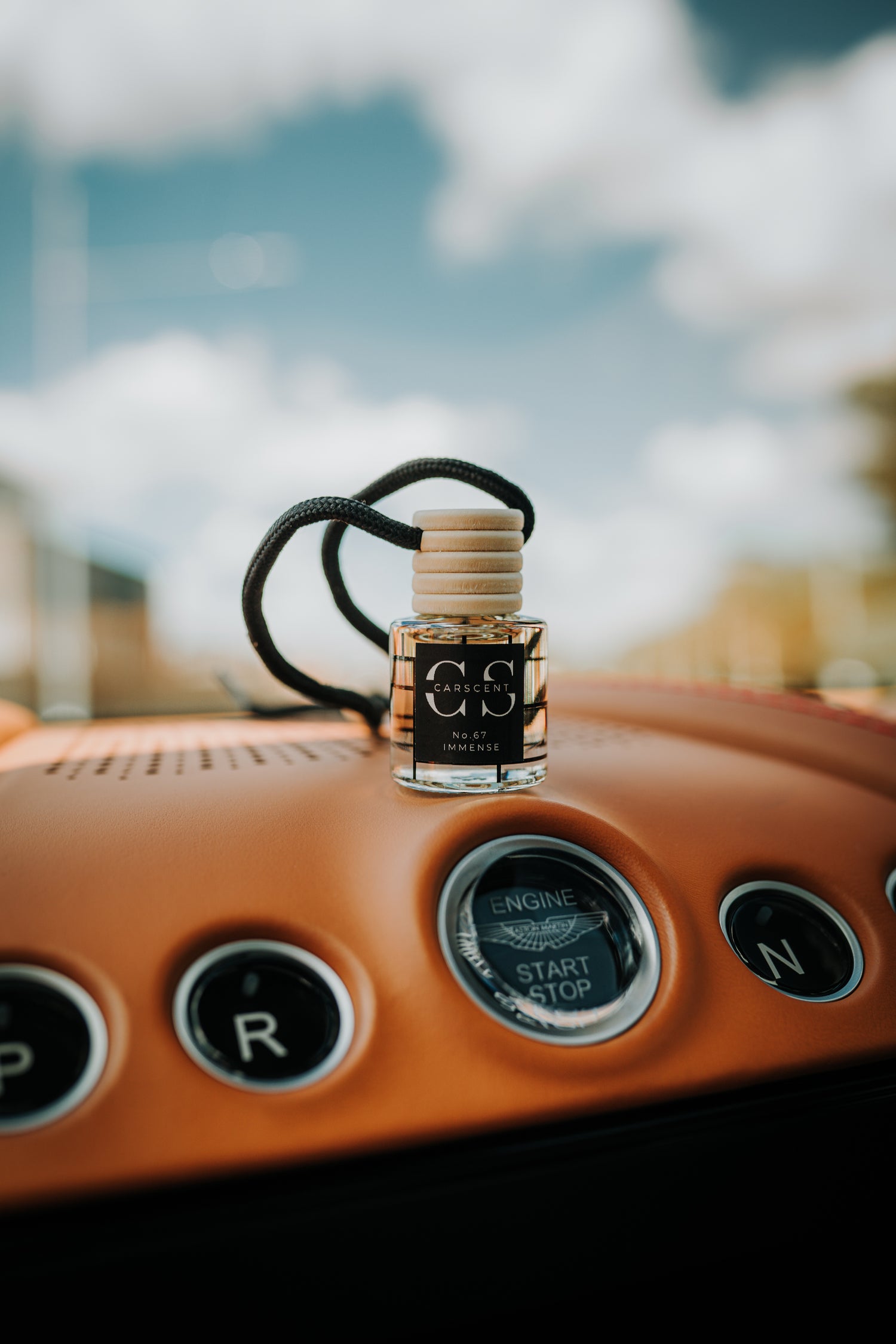 Luxury Car Diffuser