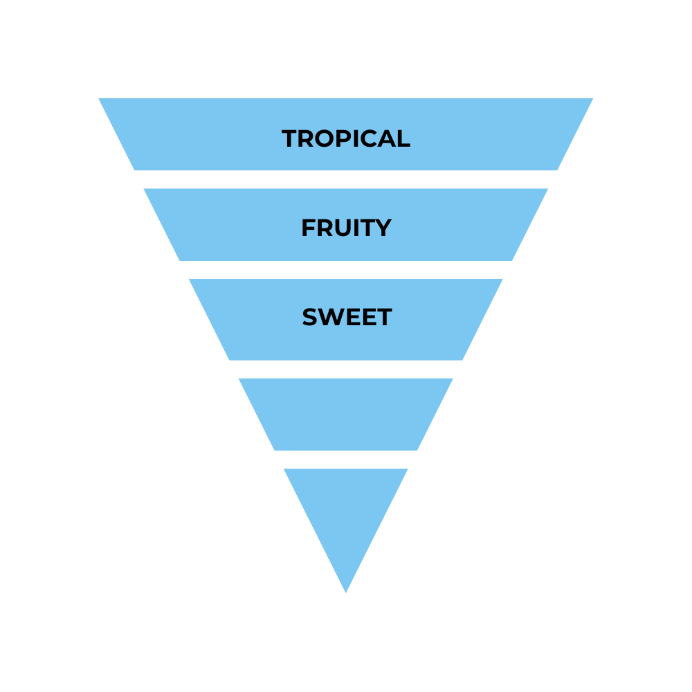 No.45 - Inspired by Vilhelm Mango Skin - Air Vent