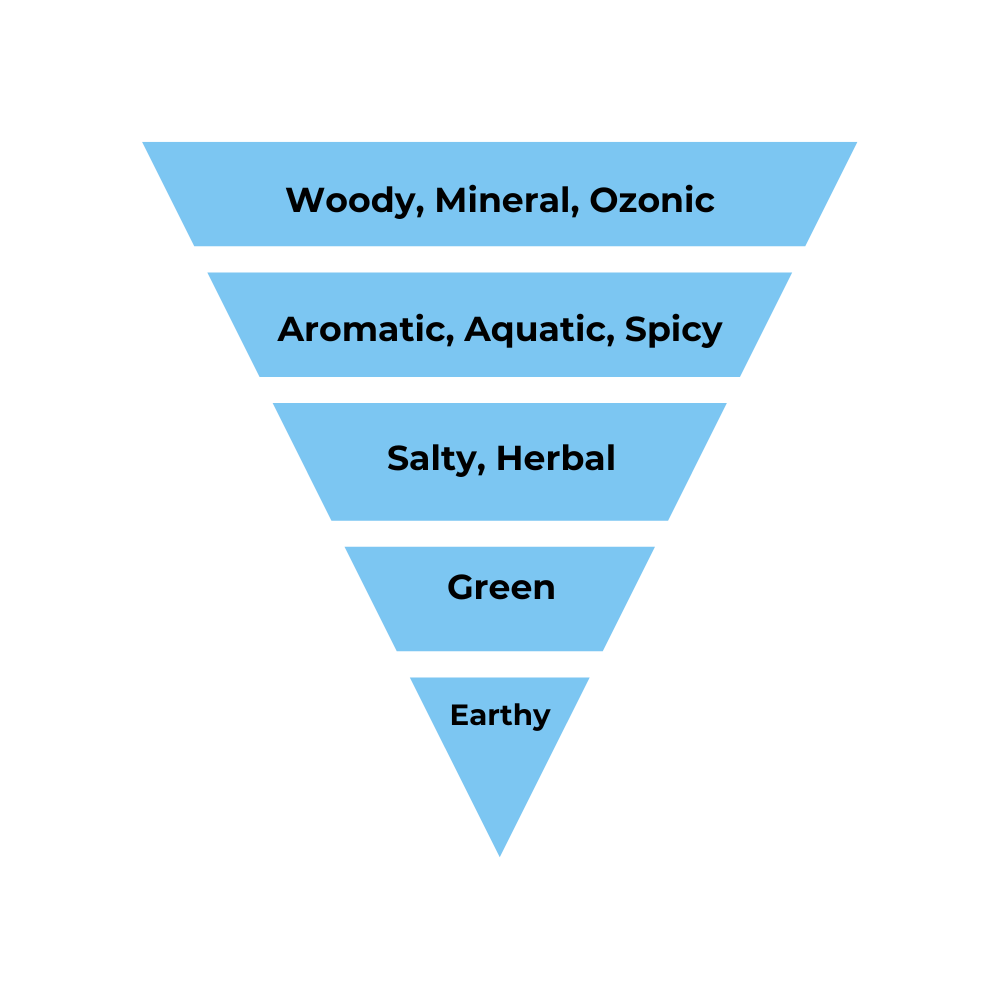 No.24 - Inspired by Valentino Uomo Born in Roma