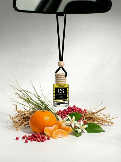 No.69 - Inspired by Louis Vuitton Météore