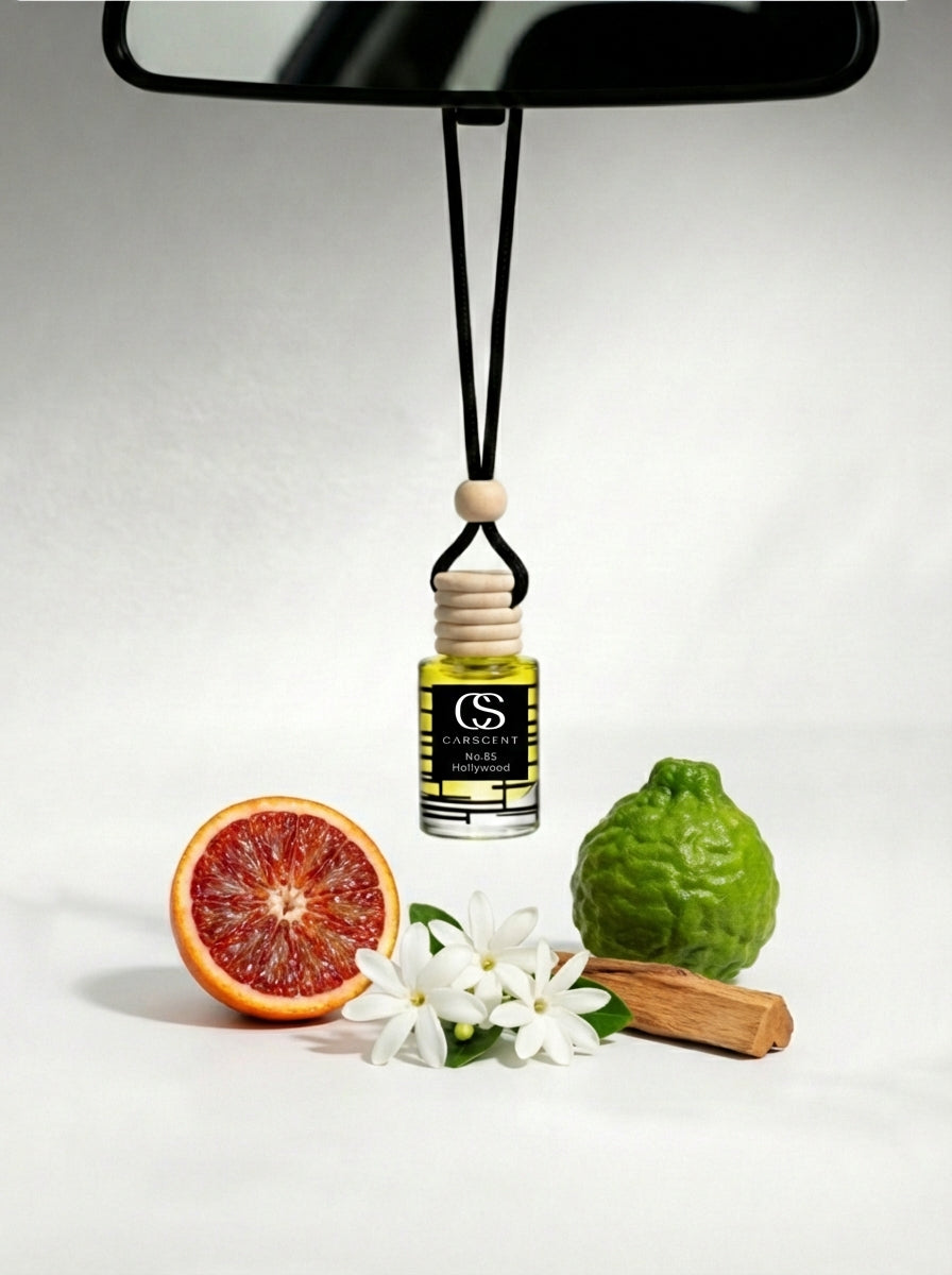 No.85 - Inspired by Louis Vuitton City of Stars