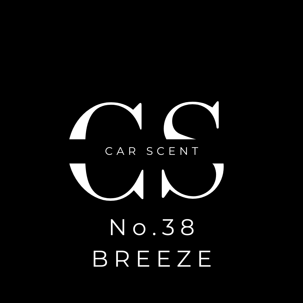 Car Air Freshener Inspired by Louis Vuitton Imagination