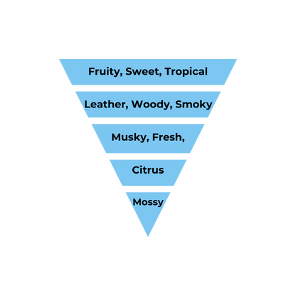 No.01  - Inspired by Creed Aventus - Air Vent